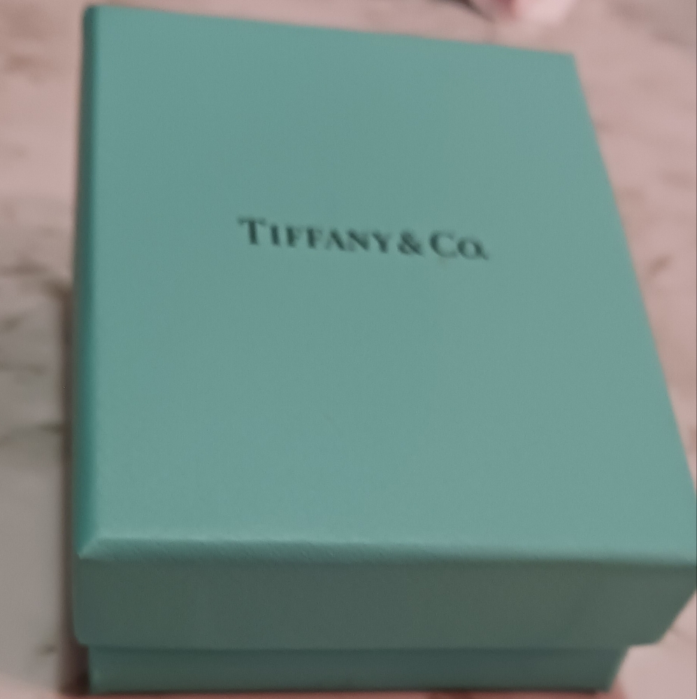 Tiffany & Co.  Sterling Silver mesh tassel pendant